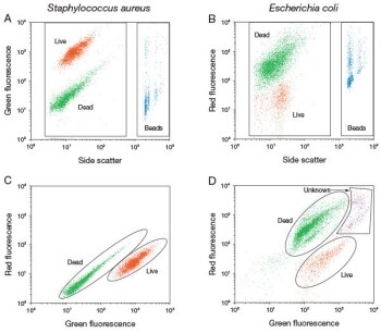 LIVE/DEAD BacLight 细菌活力和计数试剂盒 菌群定量检测散点图