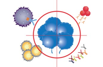 drawing of immuno-oncology-related cell types drawing of immuno-oncology-related cell types