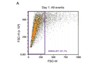 Analysis of transcription factor expression flow cytometry dot plot of forward scatter of isolated cells
