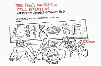 Two worlds of cell separation still from animated video Two Worlds of Cell Separation