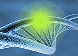 Cell proliferation information Illustration of DNA strand with glowing green fluorophore attached
