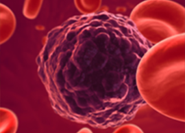 Flow Cytometry Assays Information 3D image of t cell surrounded by red blood cells