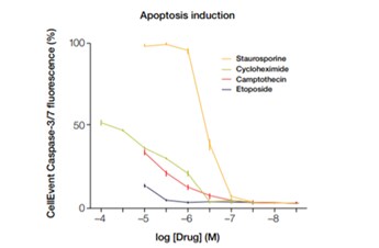 Application note plot of cellevent caspase reagent fluorescence in response to apoptosis inducing drugs
