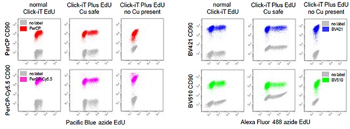 fluorochromes fluorochromes