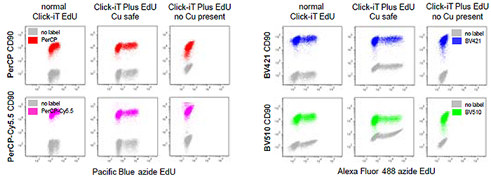 fluorochromes fluorochromes