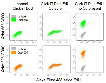 fluorochromes fluorochromes
