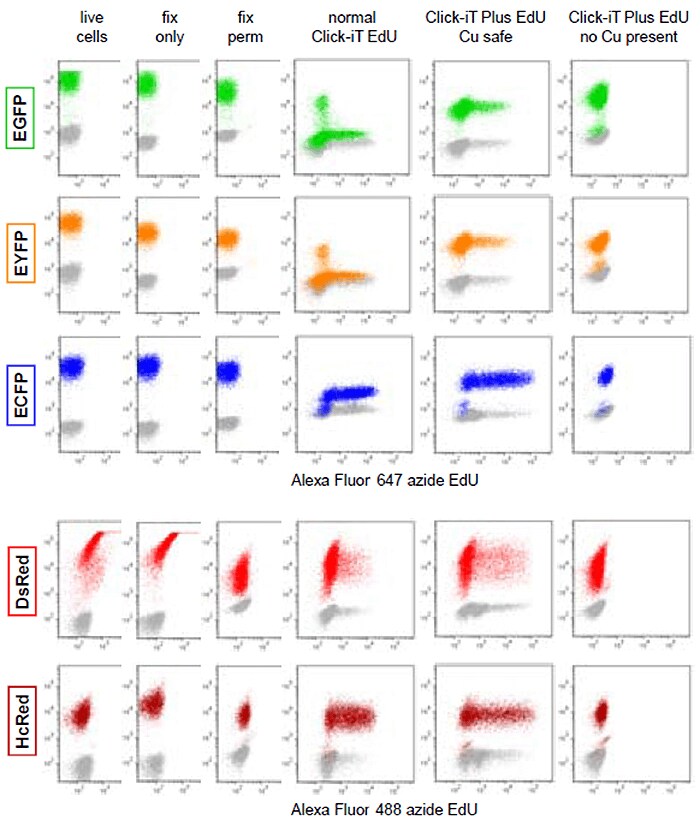 Fluorescent-proteins Fluorescent-proteins