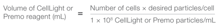 Formula Formula