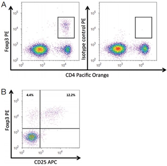 Detection of murine regulatory T cells on the Attune NxT Flow Cytometer. Detection of murine regulatory T cells on the Attune NxT Flow Cytometer.