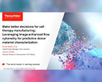Make better decisions for cell therapy manufacturing: Leveraging image-enhanced flow cytometry for predictive donor material characterization Video thumbnail