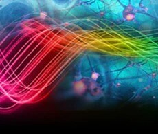 glossary-thumbnail-230x195 glossary-thumbnail-230x195