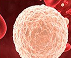 细胞裂解与保存溶液 细胞裂解与保存溶液