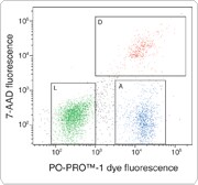 180-wide.par.72263.image.180.168.1 細胞凋亡