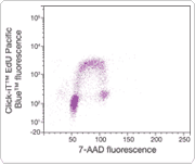 180-wide.par.84150.image.180.151.1 Click-iT™技术