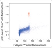 180-wide.par.0888.image.180.165.1 多参数细胞周期