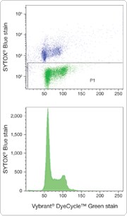 180-wide.par.55128.image.180.306.1 SYTOX Blue死细胞染料