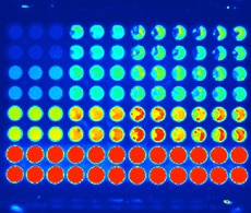 sho-microplate-assays-4 Microplate Assays for β-Galactosidase Activity