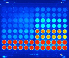 Microplate assays for cell signaling and lipids Microplate assays for cell signaling and lipids