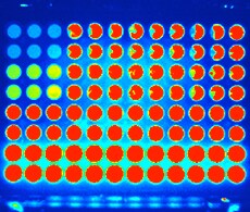 sho-microplate-assays-8 Microplate Assays for Enzyme Activity