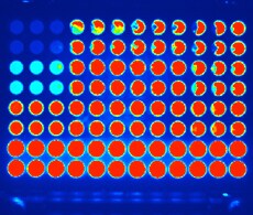 sho-microplate-assays-7 Microplate Assays Using Metabolites and Analytes