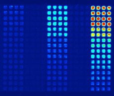 sho-microplate-assays-6 用于核酸检测的微孔板检测试剂盒