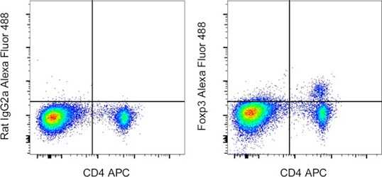 dot plots Left plot shows CD4 APC positive and Alexa Fluor 488 isotype control; right plot shows CD4 APC and foxp3 alexa fluor 488 dual positive sample