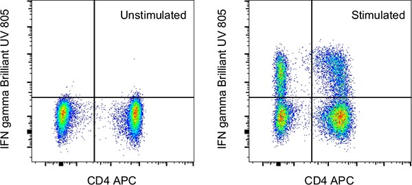 Intracellular staining of human peripheral blood cells with Brilliant Ultra Violet 805 Dot plot of IFN-gamma-BUV805 vs CD4-APC in unstimulated and stimulated cells