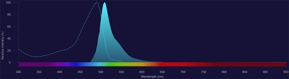 Green Fluorescent Protein (GFP) spectra Green Fluorescent Protein (GFP) excitation shown as dotted line and emission shown as solid blue histogram