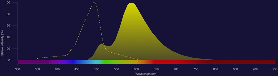 NovaFluor Blue 585 spectra NovaFluor Blue 585 excitation shown as dotted line and emission shown as solid yellow histogram