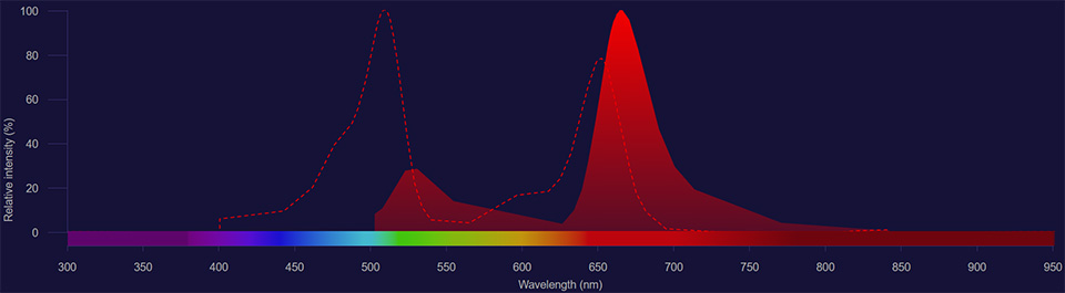 NovaFluor Blue 660-40S spectra NovaFluor Blue 660-40S excitation shown as dotted line and emission shown as solid red histogram