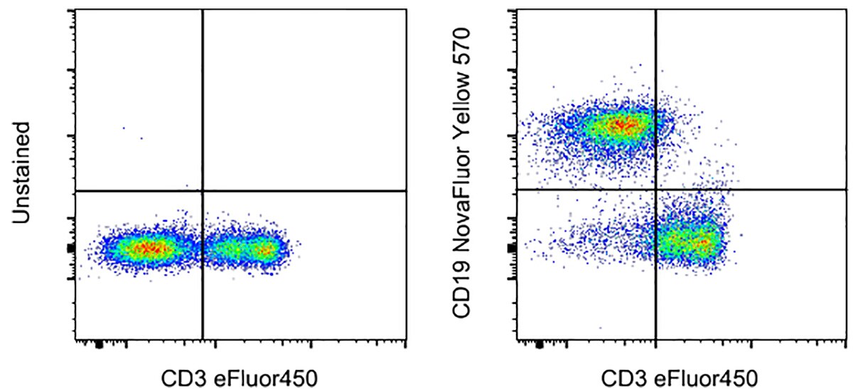 NovaFluor Yellow 570 conjugated antibody staining performance with mouse splencoytes 2-panel scatter plots of mouse splencoytes, unstained vs. CD3e-stained and CD19-stained vs. CD3e-stained