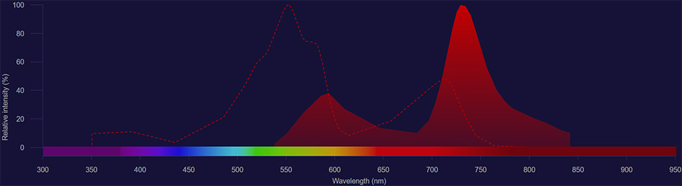 NovaFluor Yellow 730 spectra NovaFluor Yellow 730 excitation shown as dotted line and emission shown as solid red histogram