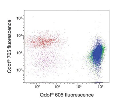 Dual staining of whole blood cells with Qdot 605 and Qdot 705 streptavidin conjugates Flow scatter plot of Qdot 605-stained CD3 vs. Qdot 705-stained CD56