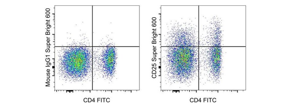 Super Bright 600 conjugated antibody staining performance with canine PBMCs 2-panel scatter plots of canine PBMCs, IgG1-stained vs. CD4-stained and CD25-stained vs. CD4-stained