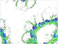 showcase.par.88307.image.0.0.1 抗体和蛋白质标记试剂盒