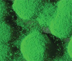 FilmTracer Biofilm Stains FilmTracer Biofilm Stains