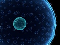 单细胞分析 单细胞分析图像