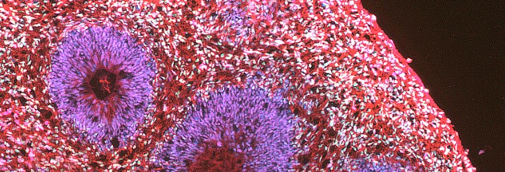 3d-research-application-ersources-showcase 3d-research-application-ersources-showcase