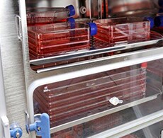 Cell culture application notes Cell culture application notes