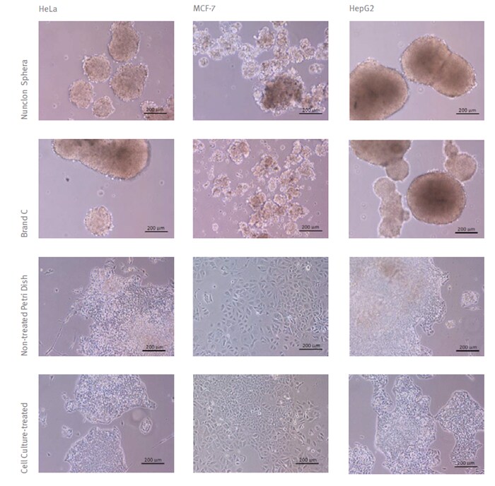 Cancer spheroid culture results microscopic images of cancer spheroids from 3 cell lines, grown on Nunclon Sphera and 3 other surfaces