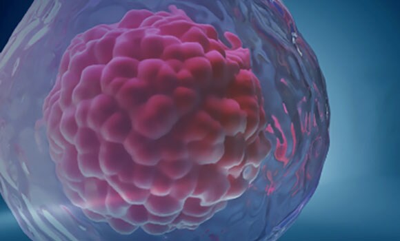 PSC Education An illustrated pink stem cell floating on a dark blue background