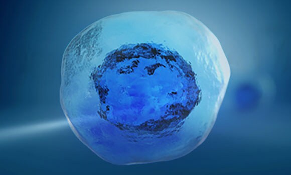 Cell culture basics An illustrated blue cell floating on a dark blue background