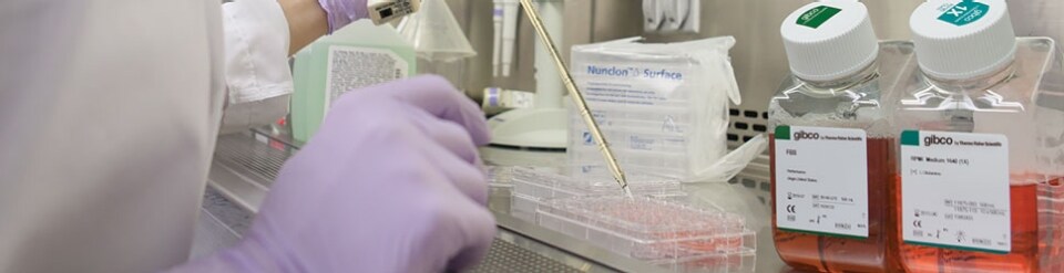 细胞培养和转染学习中心 赛默飞细胞培养与转染学习中心