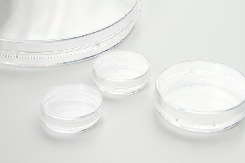 EasYDish worry-free handling four different diameters of easydish dishes placed on a lab bench