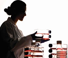 细胞培养瓶 细胞培养瓶