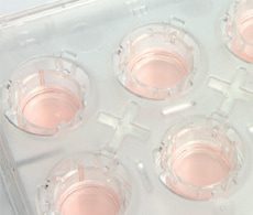 插入式聚碳酸酯细胞培养器 插入式聚碳酸酯细胞培养器