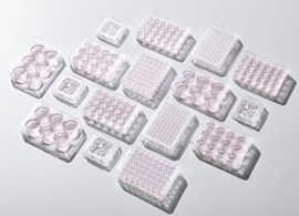 细胞培养板 细胞培养板