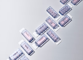 Lab-Tek II RS 腔室载玻片 Lab-Tek II RS 腔室载玻片