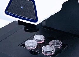 Cell Culture Imaging Dishes, Plates, Slides and Coverglass small culture dishes on a microscope
