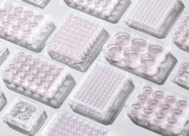 Custom Coated Cell Culture Plates Thermo Scientific cell culture plates